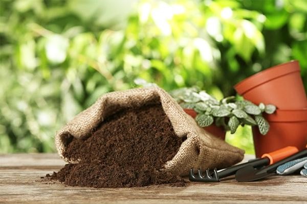 چرا داروخانه گیاه پزشکی شدیار در رشت بهترین انتخاب است؟