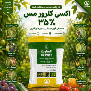 اکسی کلرور مس یک کیلویی آریا