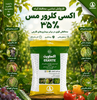 اکسی کلرور مس یک کیلویی آریا